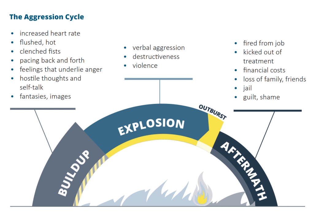 The Aggression Cycle